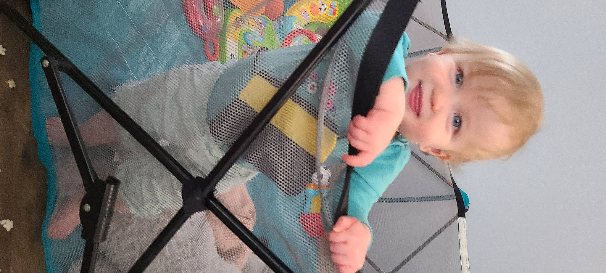 Phoenix joined the competition — help win amazing prizes! baby, baby_carriage, baby_products, baby_safety, baby_toddler_clothing, child, comfort, electric_blue, hand, infant_bed, lip, outerwear, pattern, person, skin, sleeve, textile, tints_and_shades, toddler, tree