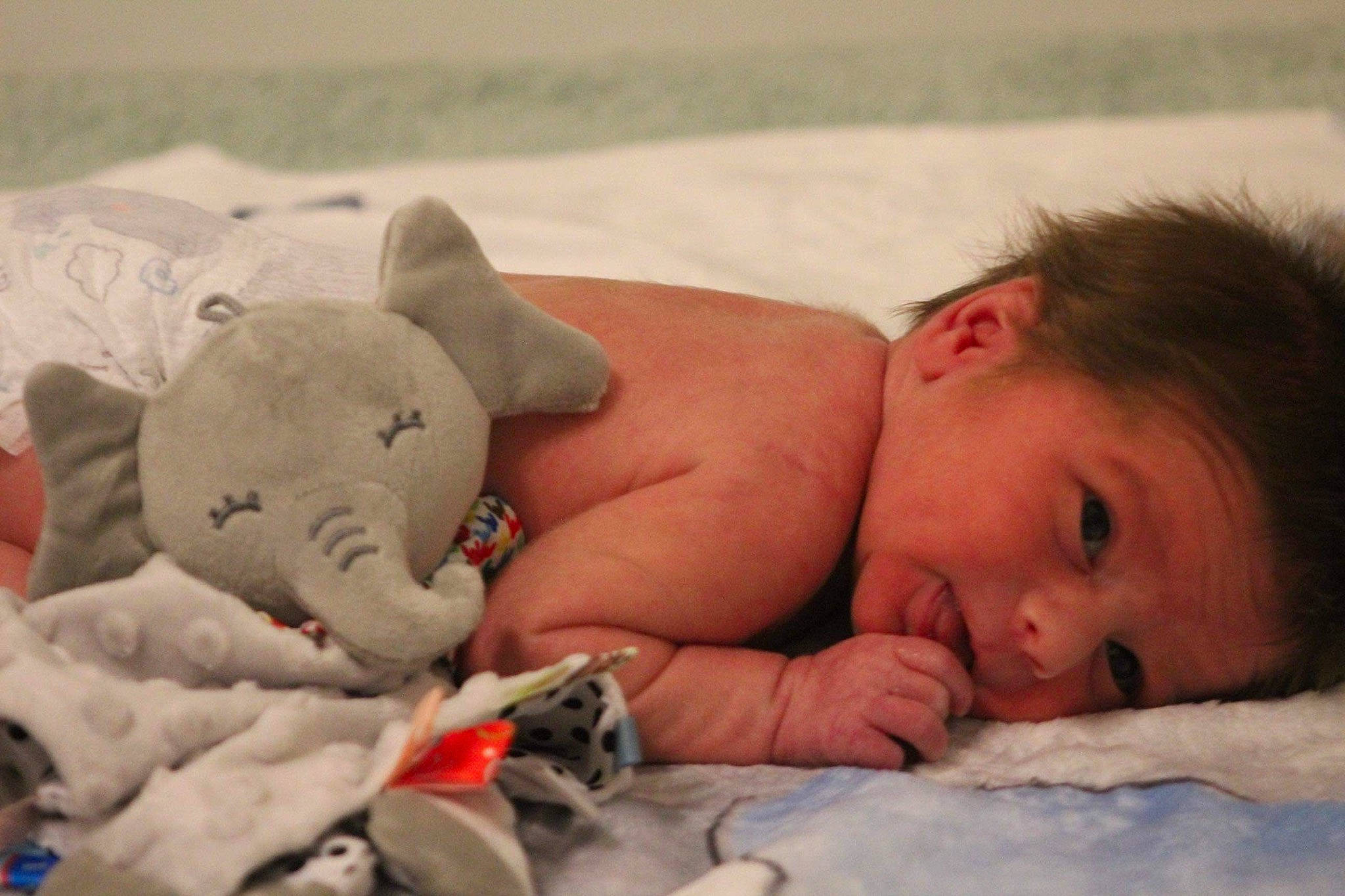 Atticus joined the competition — help win amazing prizes! arm, baby, beach, bedding, comfort, eye, finger, fun, happy, head, human_body, linens, mouth, muscle, nose, person, sand, skin, toddler, toy