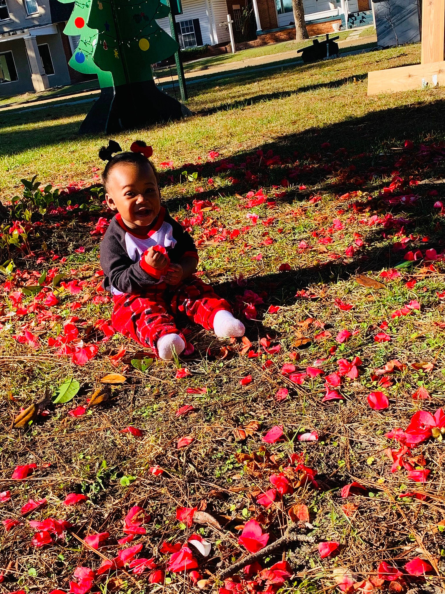 Star joined the competition — help win amazing prizes! annual_plant, botany, carmine, deciduous, flower, flowering_plant, garden, grass, green, groundcover, happy, people_in_nature, person, petal, photograph, plant, red, rose_family, shrub, spring