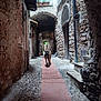 Twiggy a rejoint le concours — aidez-le/la à gagner de superbes lots ! alley, architecture, archway, building, cobblestone, daylight, dog, door, lantern, outdoor, path, pet, plant_pot, shadow, stairs, stone_wall, street, vintage, walkway, window