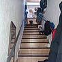 Twiggy participe au concours pour gagner de l'argent avec cette photo : casual, clothing, coat, dog, domestic, furniture, handrail, helmet, home, indoor, mirror, painting, pet, portrait, quiet, relaxing, resting, stairs, tile, wall