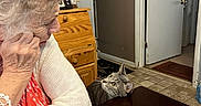 Lulu joined the competition — help win amazing prizes! elderly_woman, cat, tabby_cat, table, indoor, home, kitchen, furniture, wooden_drawer, door, floor_tiles, curious, cozy, sweater, crochet, portrait, pet, interaction, affection, domestic