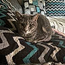 cat, gray_cat, tabby, pet, animal, cushion, pillow, zigzag_pattern, blanket, indoor, cozy, furniture, resting, cute, fur, whiskers, relaxed, home, soft, comfort
