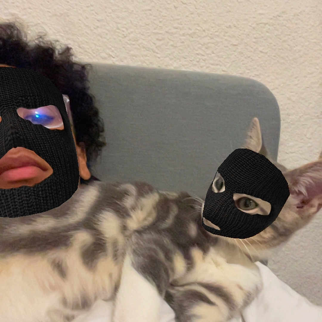 Timal a rejoint le concours — aidez-le/la à gagner de superbes lots ! cat, kitten, furry, lying_down, bed, blanket, indoor, bedroom, masked_cat, ski_mask, human, masked_person, eyes, whiskers, paws, pink_paw_pads, gray_fur, white_fur, portrait, funny