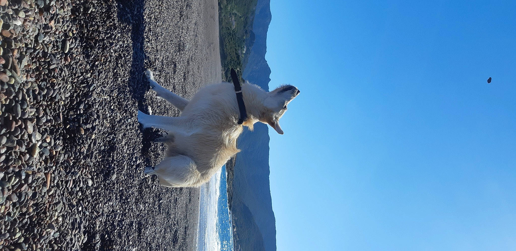 Loco participe au concours pour gagner de l'argent avec cette photo : adventure, ice, sky, tree, winter