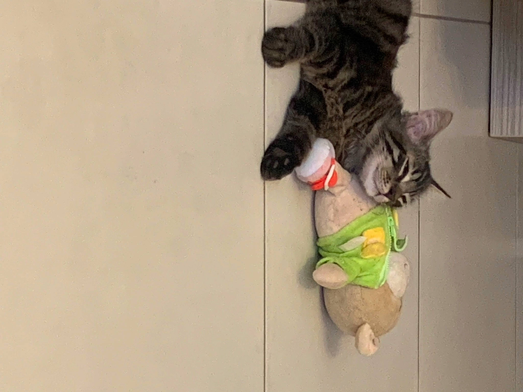 Floppy participe au concours pour gagner de l'argent avec cette photo : art, carmine, carnivore, cat, domestic_short_haired_cat, felidae, fur, grey, human_leg, mammal, metal, mythical_creature, room, sculpture, small_to_medium_sized_cats, tail, vertebrate, visual_arts, whiskers, wood