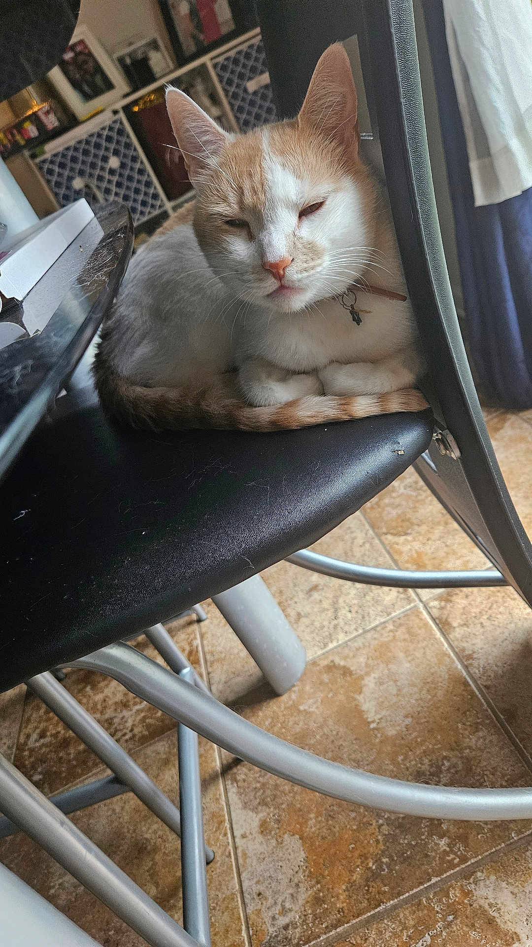 Titus