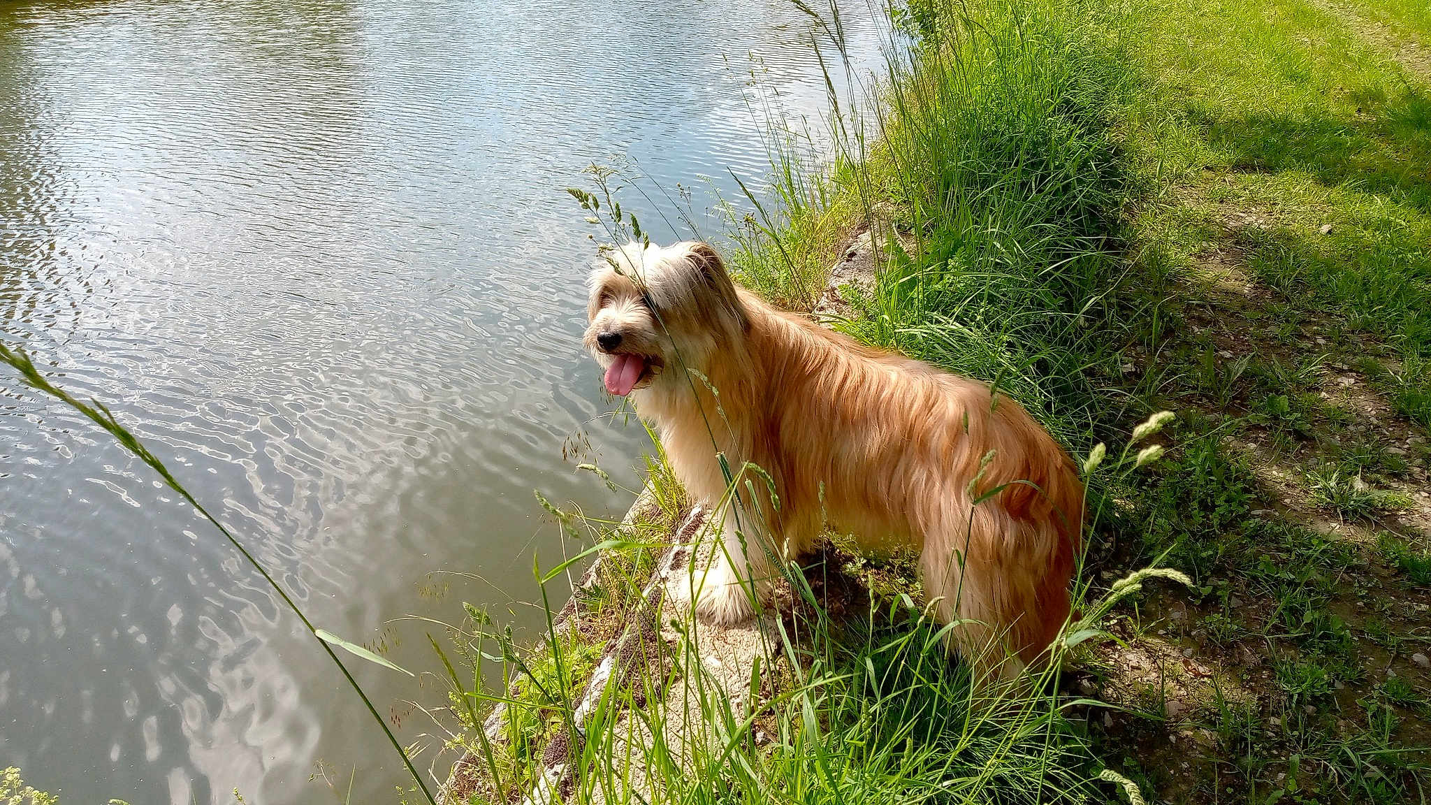 Louna