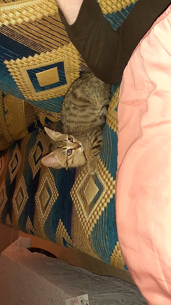 Leda a rejoint le concours — aidez-le/la à gagner de superbes lots !