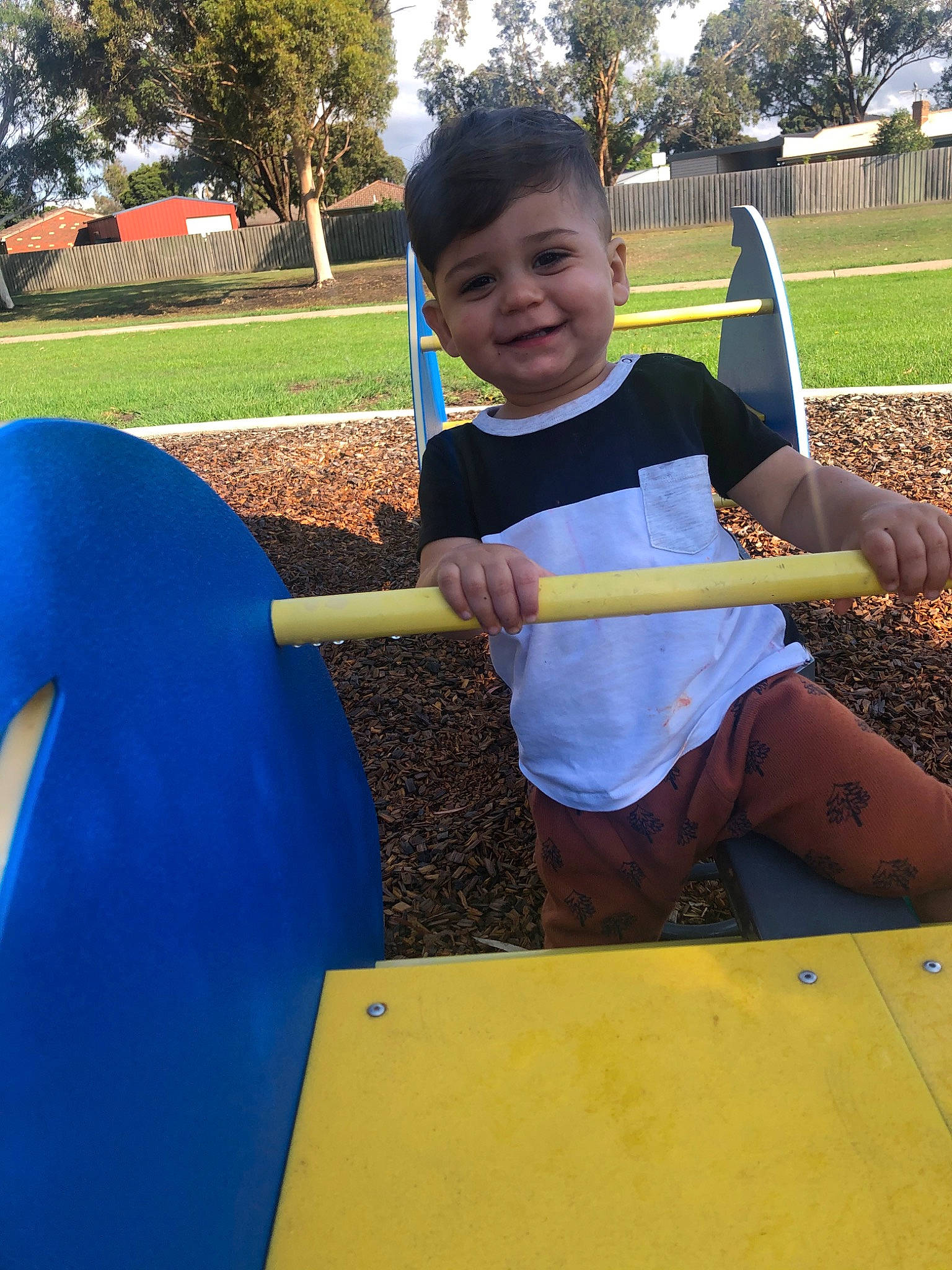Krish is registered to the contest to win money with this photo: child, fun, joy, leaf, leisure, outdoor_play_equipment, person, play, playground, public_space, recreation, smile, toddler