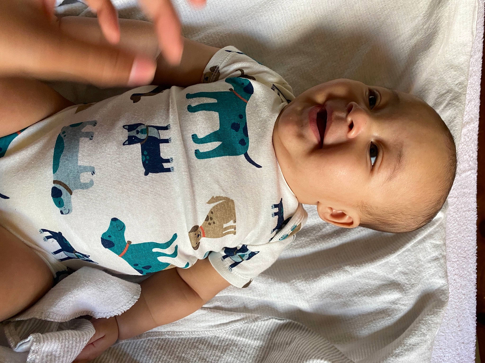 Cairo joined the competition — help win amazing prizes! abdomen, baby, baby_products, baby_toddler_clothing, cheek, chest, child, comfort, elbow, eyelash, headgear, human_leg, knee, linens, neck, person, skin, sleeve, thigh, toddler