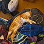 animal, backpack, blanket, cardboard_box, cat, cord, cozy, cute, domestic_animal, feline, floor, fur, indoor, nap, orange_cat, patterned_blanket, pet, relaxed, resting, sleeping