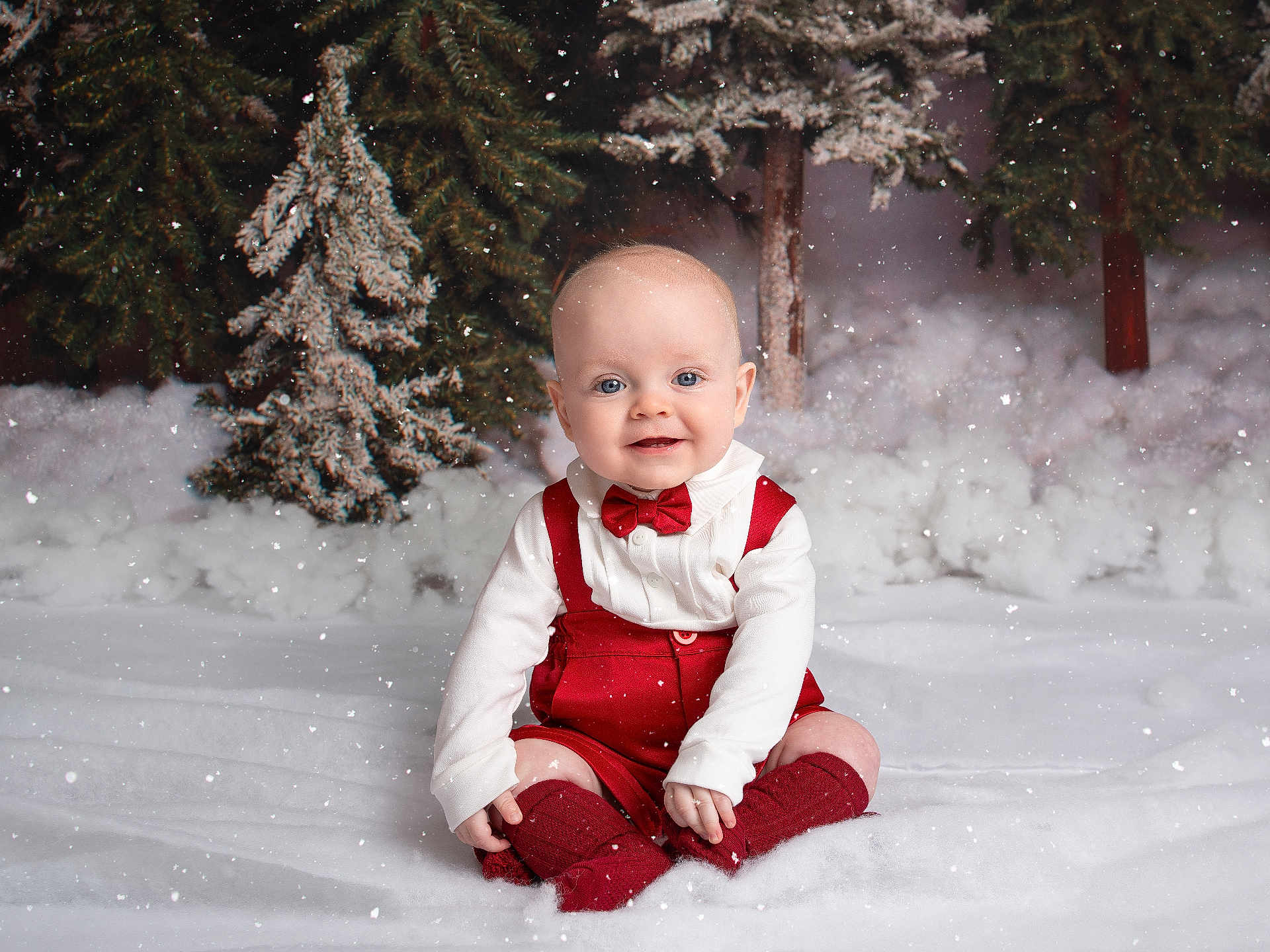 Landon is registered to the contest to win money with this photo: baby, child, snow, winter, holiday, pine_tree, red_clothing, bow_tie, suspenders, smile, sitting, snowfall, festive, cute, portrait, indoor, studio, white_background, frosted_trees, warm_clothing