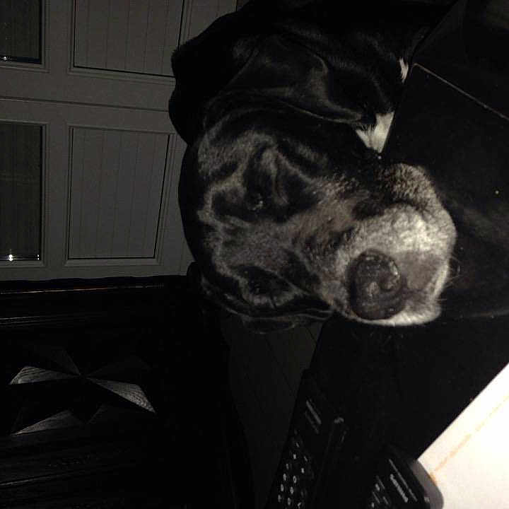 Boomer a rejoint le concours — aidez-le/la à gagner de superbes lots !