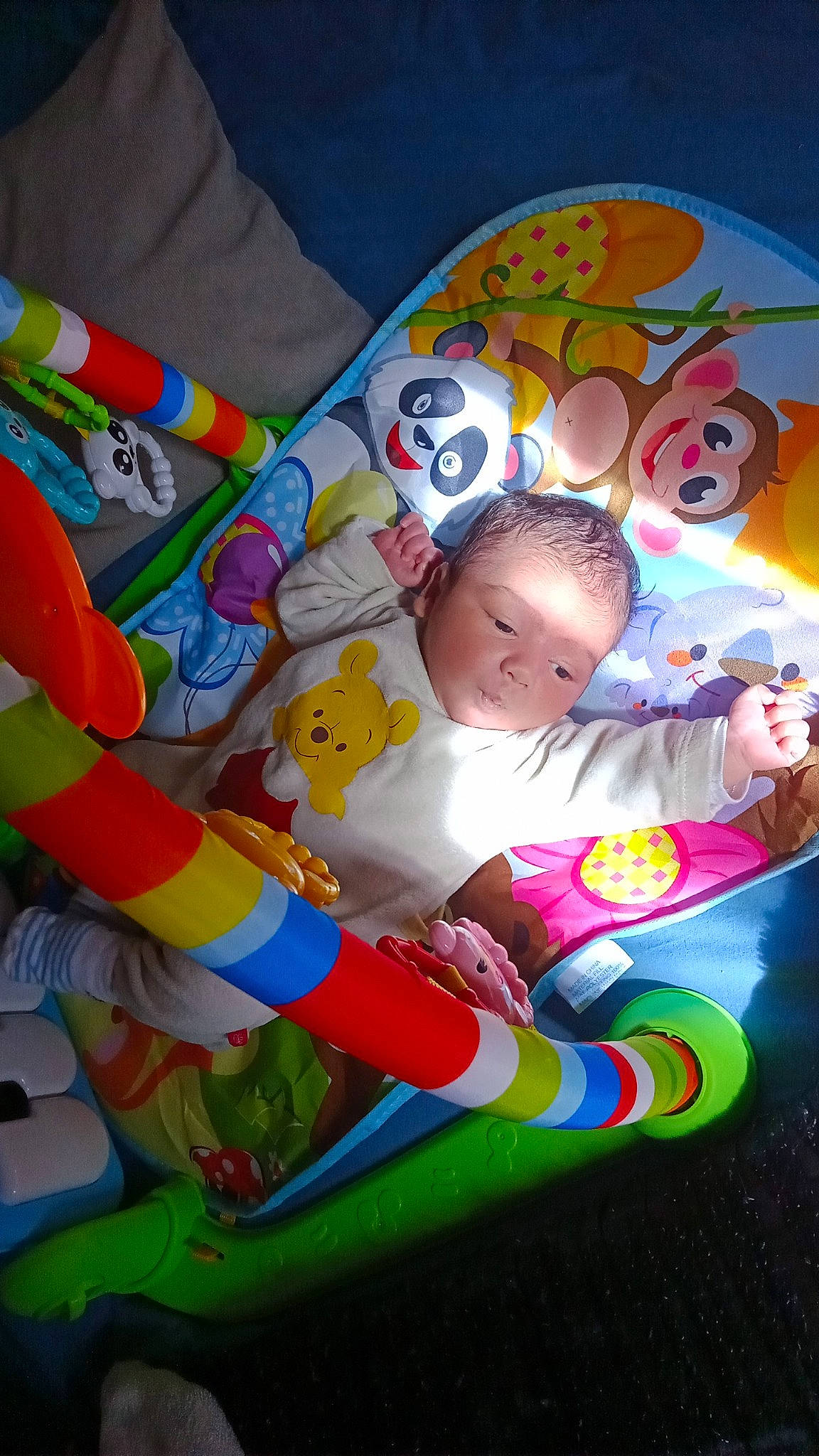 Kalys a rejoint le concours — aidez-le/la à gagner de superbes lots ! art, baby, baby_carriage, baby_products, baby_toddler_clothing, baby_toys, bedtime, child, comfort, fun, leisure, linens, nap, pattern, person, play, product, recreation, room, sitting