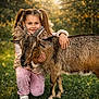 child, girl, goat, animal, outdoor, grass, sunlight, golden_hour, pigtails, smile, portrait, pet, hugging, nature, bokeh, jacket, pink_pants, sneakers, warm_light, meadow