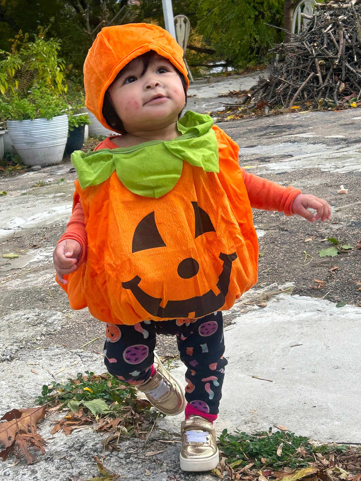 Jaylannie is registered to the contest to win money with this photo: child, toddler, pumpkin_costume, orange, green, outdoor, fall, leaves, sidewalk, plants, potted_plants, happy, cute, walking, shoes, leggings, playful, seasonal, costume, holiday