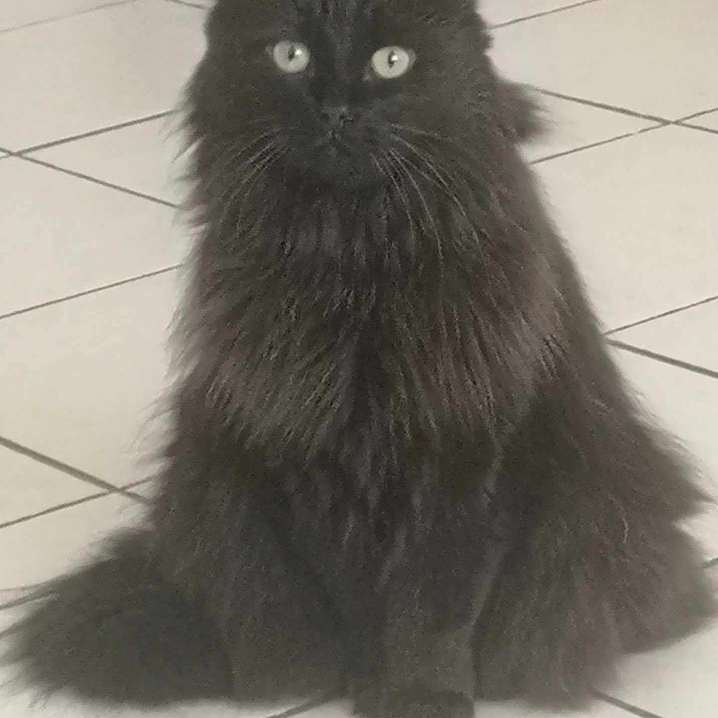 Jack