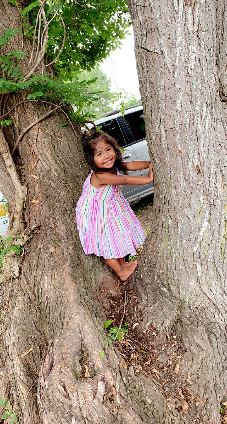 Valeria is registered to the contest to win money with this photo: adaptation, branch, forest, grass, happy, joy, leaf, leisure, long_hair, natural_environment, people_in_nature, person, plant, skin, smile, thigh, tree, trunk, waist, wood