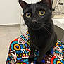 black_cat, cat, pet, indoor, curious, wide_eyes, yellow_eyes, whiskers, patterned_cloth, colorful, furniture, floor, refrigerator, animal, domestic_cat, sitting, close_up, attention, cute, portrait