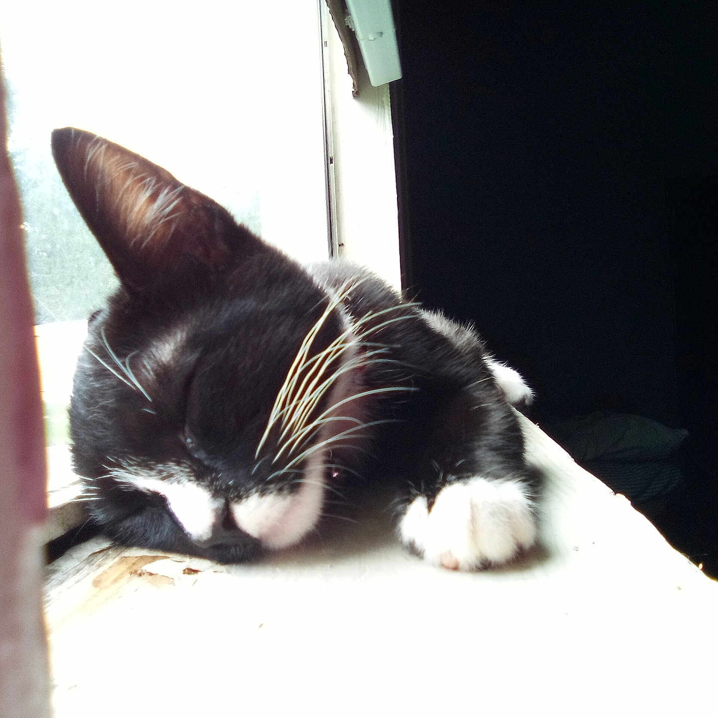 Stinker