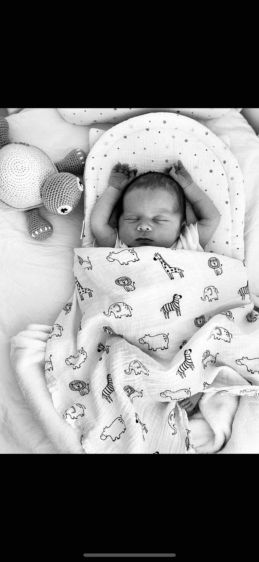 Ezio participe au concours pour gagner de l'argent avec cette photo : newborn, baby, sleeping, blanket, animal_print, crocheted_toy, turtle, bed, cozy, peaceful, infant, soft, resting, cute, black_and_white, portrait, child, wrapped, nursery, comfort