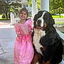 child, girl, dog, bernese_mountain_dog, pink_dress, princess_costume, smile, porch, outdoor, sunny, tree, white_fence, grass, house, happy, pet, friendship, animal, cute, playful