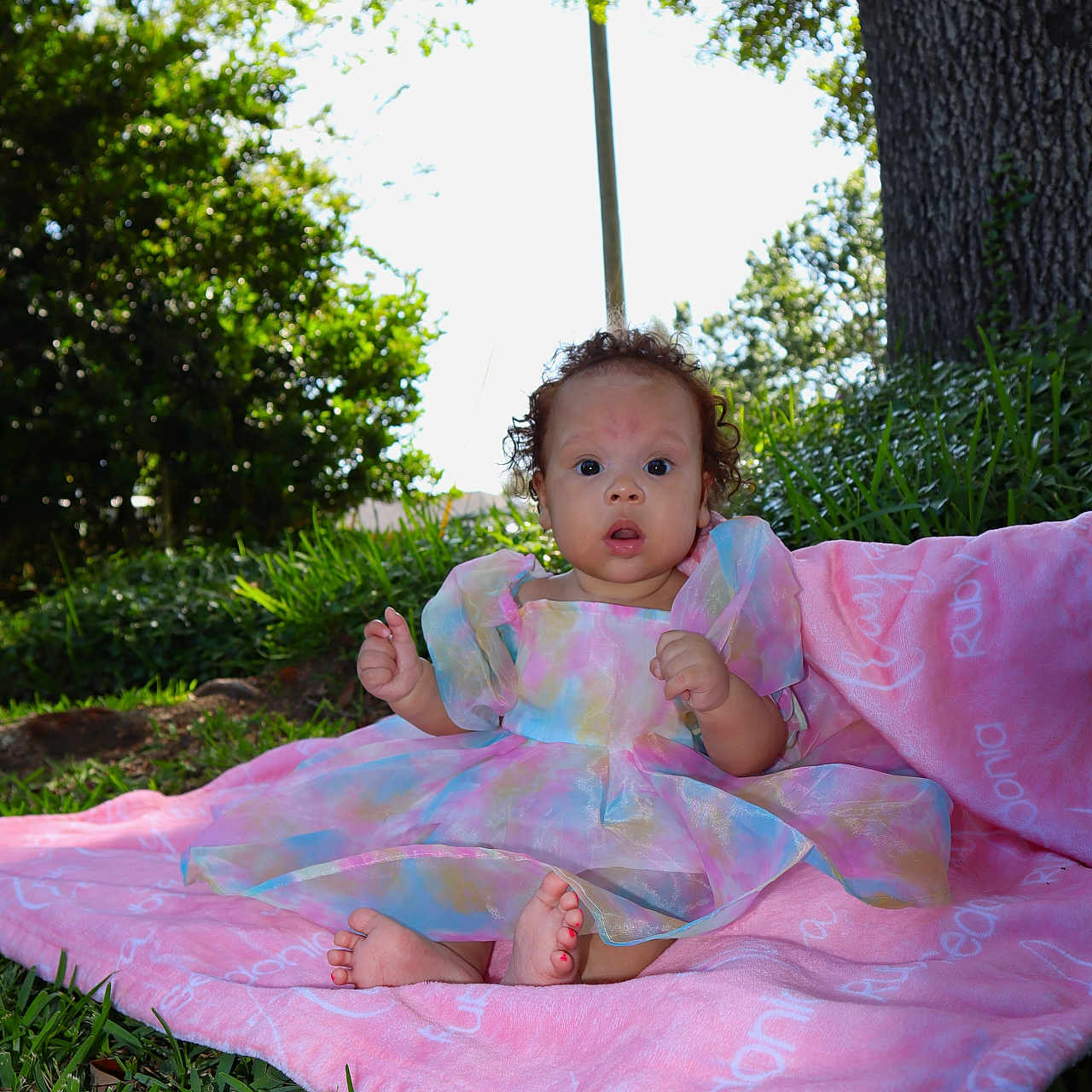 Araya is registered to the contest to win money with this photo: baby, blanket, clothing, dress, face, formalwear, grass, head, lawn, nature, outdoors, person, photography, plant, portrait, sitting, tree, treetrunk, vegetation, yard
