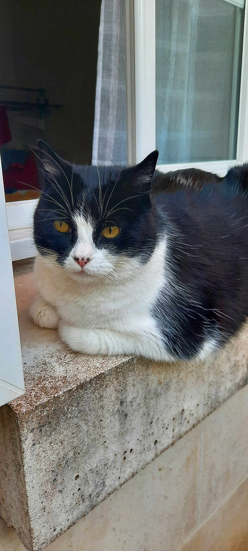 Noushka