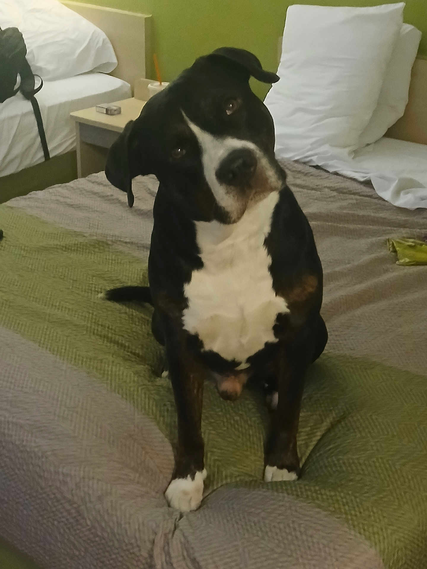 Tyson