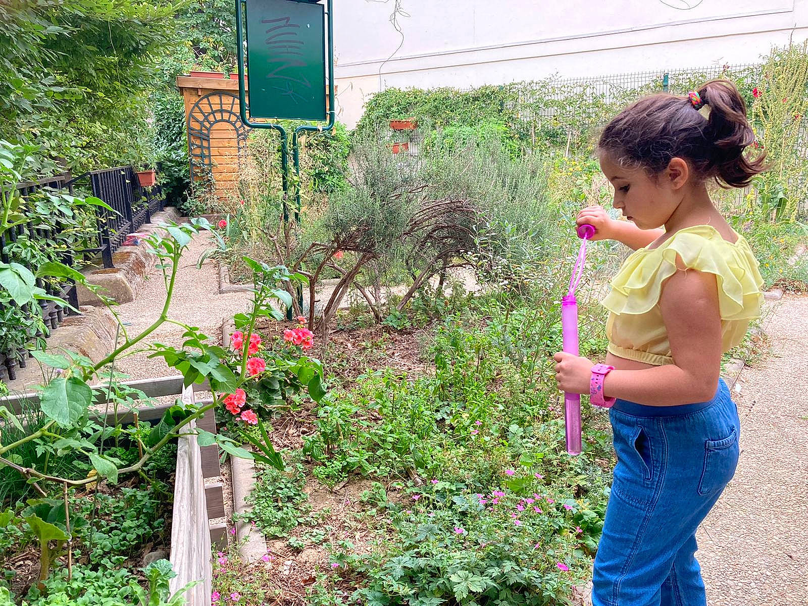 Layana a rejoint le concours — aidez-le/la à gagner de superbes lots ! adaptation, botany, child, flower, garden, gardening, herb, person, plant, play, shrub, soil, yard