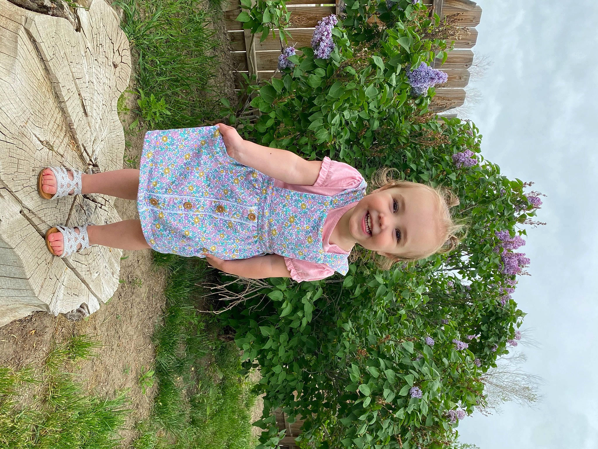 Elizabeth joined the competition — help win amazing prizes! child, day_dress, flower, fun, garden, grass, grass_family, happy, human_leg, joy, leisure, pattern, people_in_nature, person, plant, sandal, shrub, sky, toddler, tree