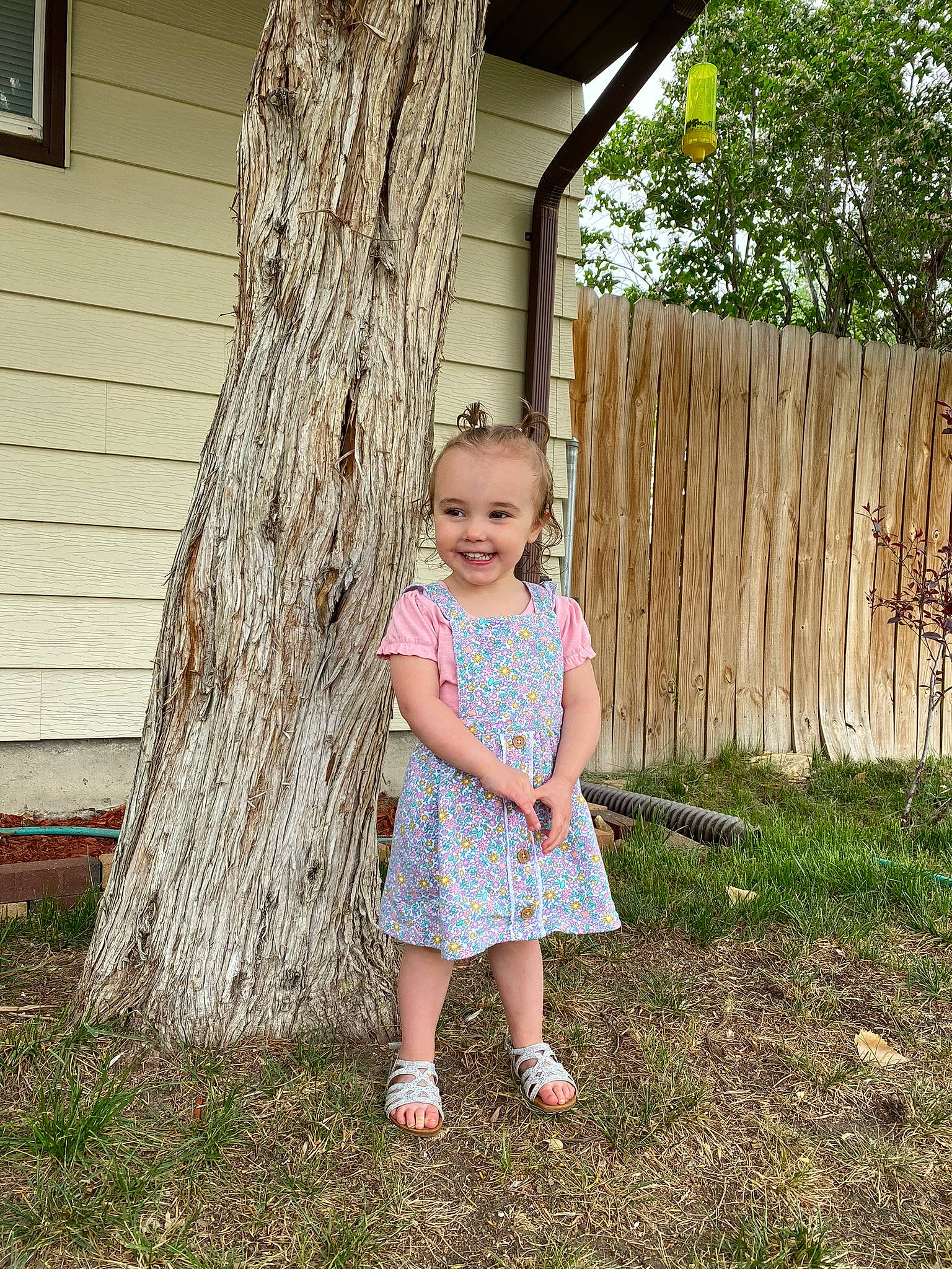 Elizabeth is registered to the contest to win money with this photo: child, dress, fence, grass, grass_family, happy, house, joy, leaf, leg, people_in_nature, person, plant, smile, standing, summer, toddler, tree, trunk, waist