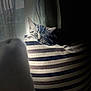 Micho a rejoint le concours — aidez-le/la à gagner de superbes lots ! animal, cat, closeup, cozy, curtain, cute, domestic, fur, indoor, kitten, peaceful, pet, pillow, quiet, resting, shadow, sleeping, soft_light, striped, window