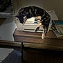 cat, cozy, domestic_animal, feline, home, indoor, natural_light, office, papers, pet, printer, quiet, relaxing, shadow, sleeping_cat, striped_fur, tabby_cat, table, window, wooden_desk