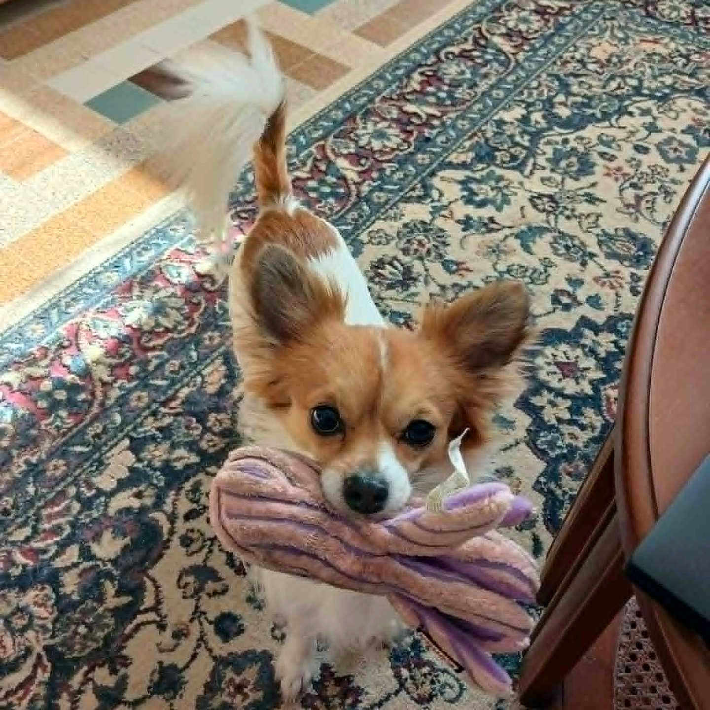 Sam