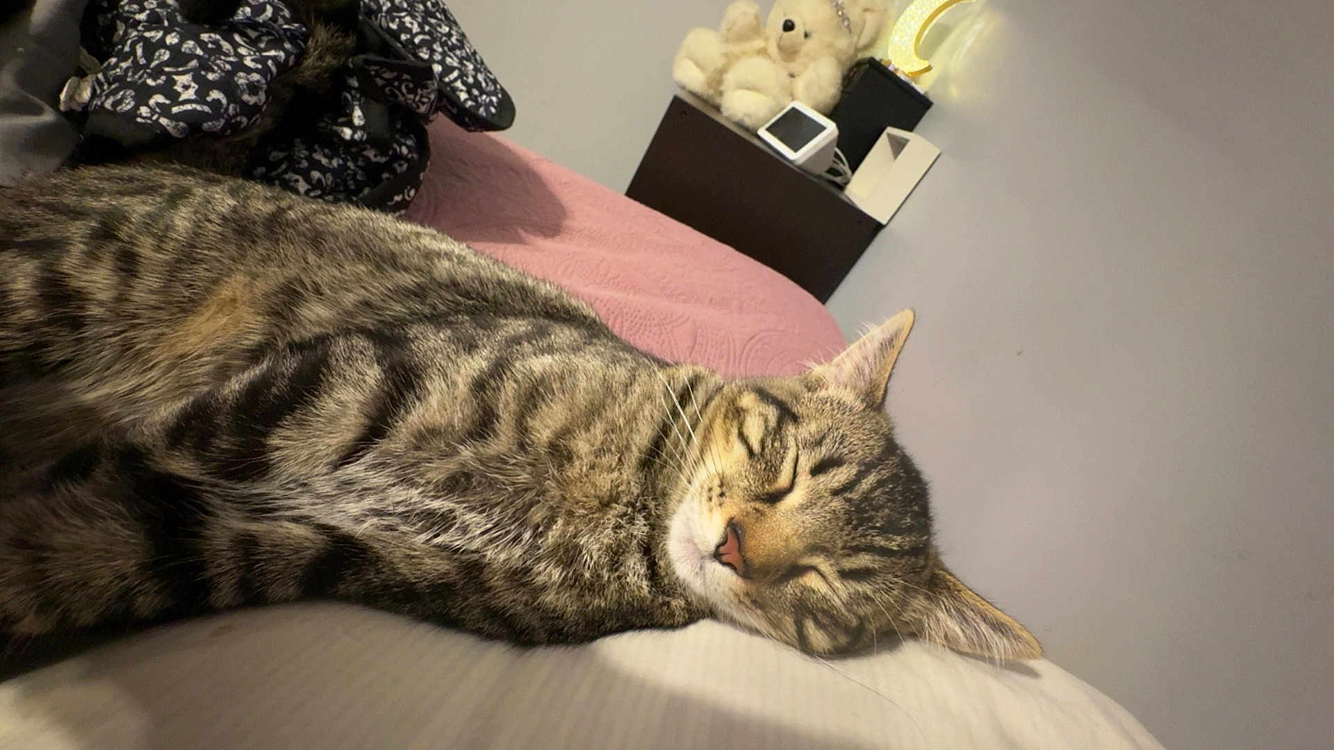 Tyson