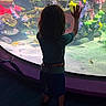 Mateo is registered to the contest to win money with this photo: child, aquarium, fish, coral, colorful, underwater, glass, silhouette, blue, green, pink, yellow, orange, exploration, curiosity, nature, marine_life, water, indoors, shadow