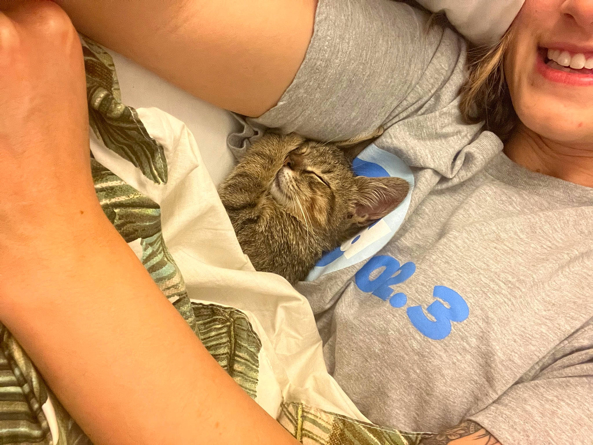 Fig is registered to the contest to win money with this photo: carnivore, cat, comfort, elbow, fawn, felidae, finger, gesture, human_leg, joint, long_hair, neck, shoulder, sleeve, small_to_medium_sized_cats, t_shirt, textile, thigh, whiskers, wrist