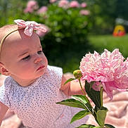 Nova joined the competition — help win amazing prizes! baby, child, flower, pink_flower, headband, outdoor, garden, greenery, blanket, curious, infant, nature, sunlight, soft_focus, portrait, summer, closeup, hand, plant, leaves