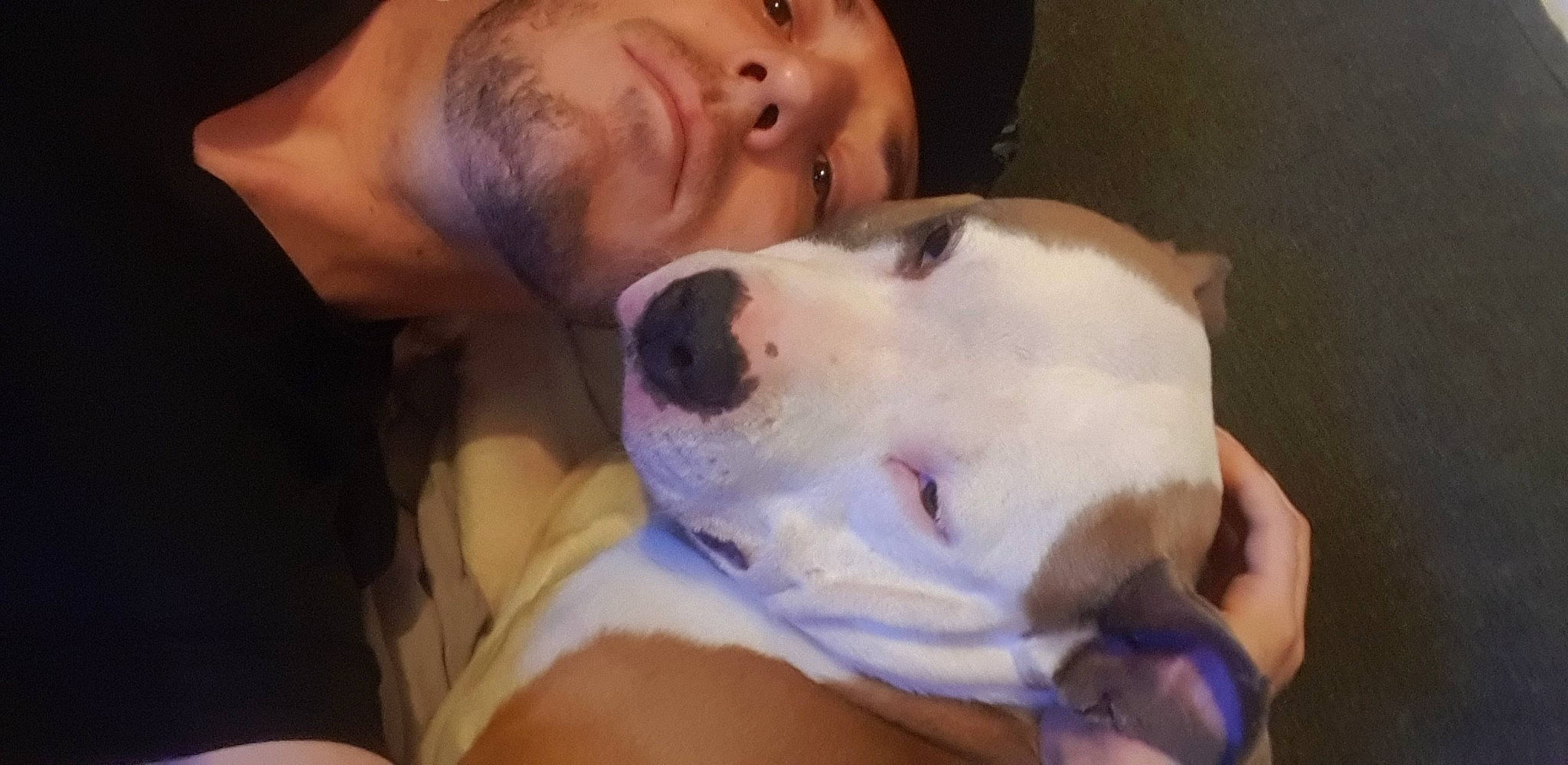 Leeroy a rejoint le concours — aidez-le/la à gagner de superbes lots ! canidae, carnivore, cheek, comfort, companion_dog, dog, dog_breed, ear, eyelash, fawn, fur, happy, jaw, nose, selfie, snout, sporting_group, toy_dog, whiskers, working_animal