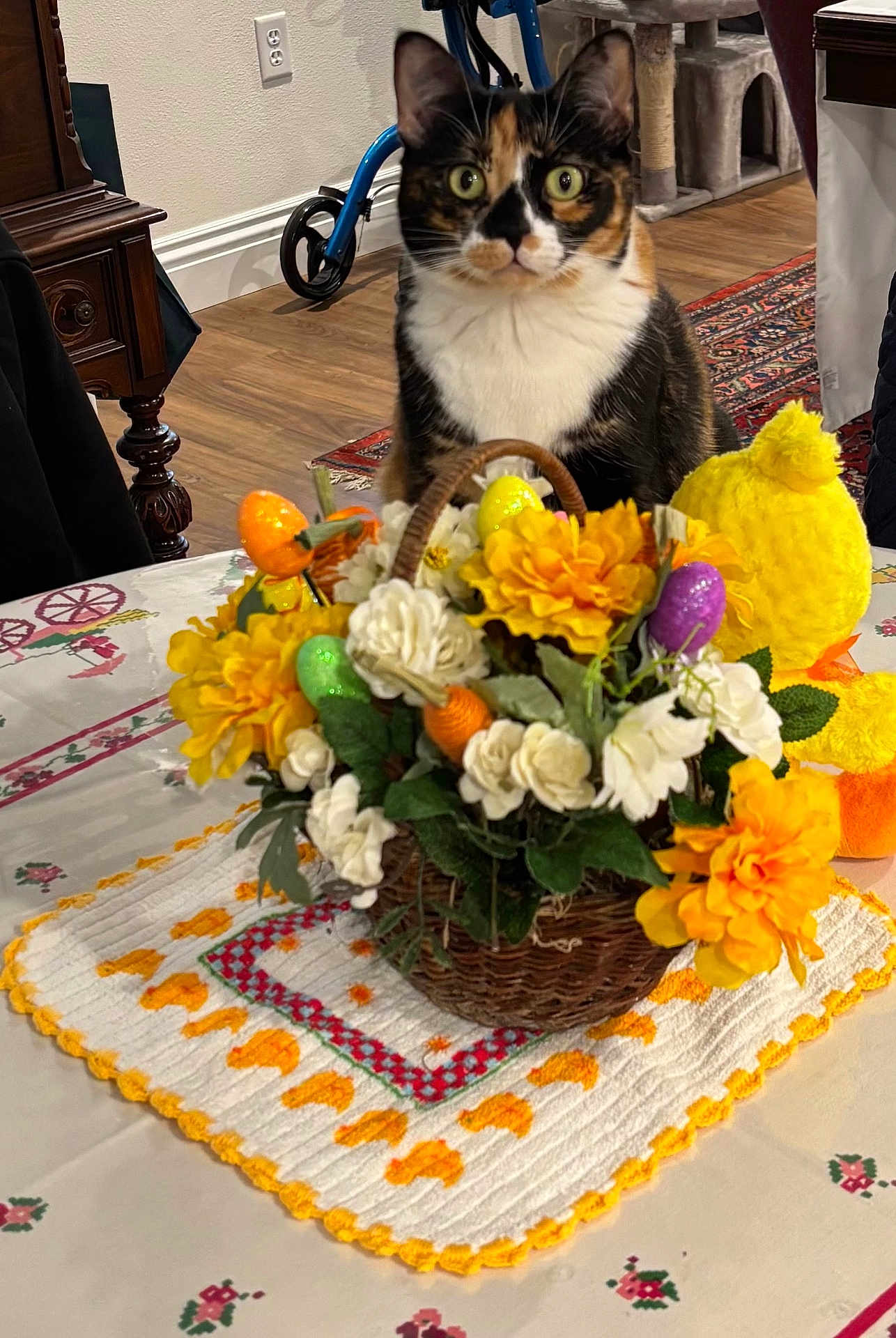 Mariposa joined the competition — help win amazing prizes! cat, calico_cat, flower_basket, yellow_flowers, white_flowers, plush_duck, tablecloth, table, wood_floor, rug, furniture, indoor, decor, pet, curious, animal, household, home, orange, green