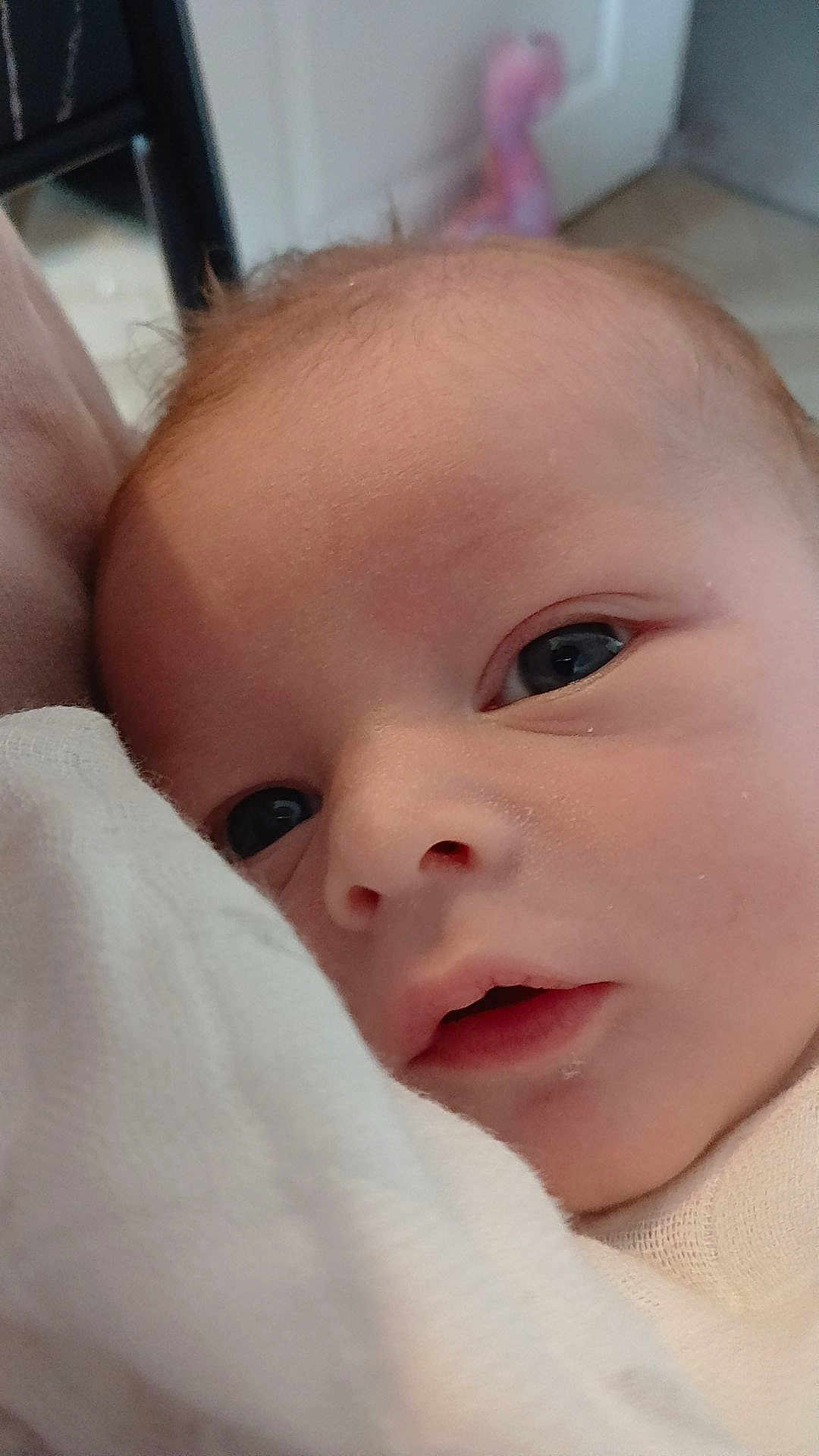 Zane joined the competition — help win amazing prizes! baby, newborn, face, closeup, infant, skin, eyes, blanket, soft, sleeping, indoors, child, young, portrait, cute, expression, person, head, warm, comfort