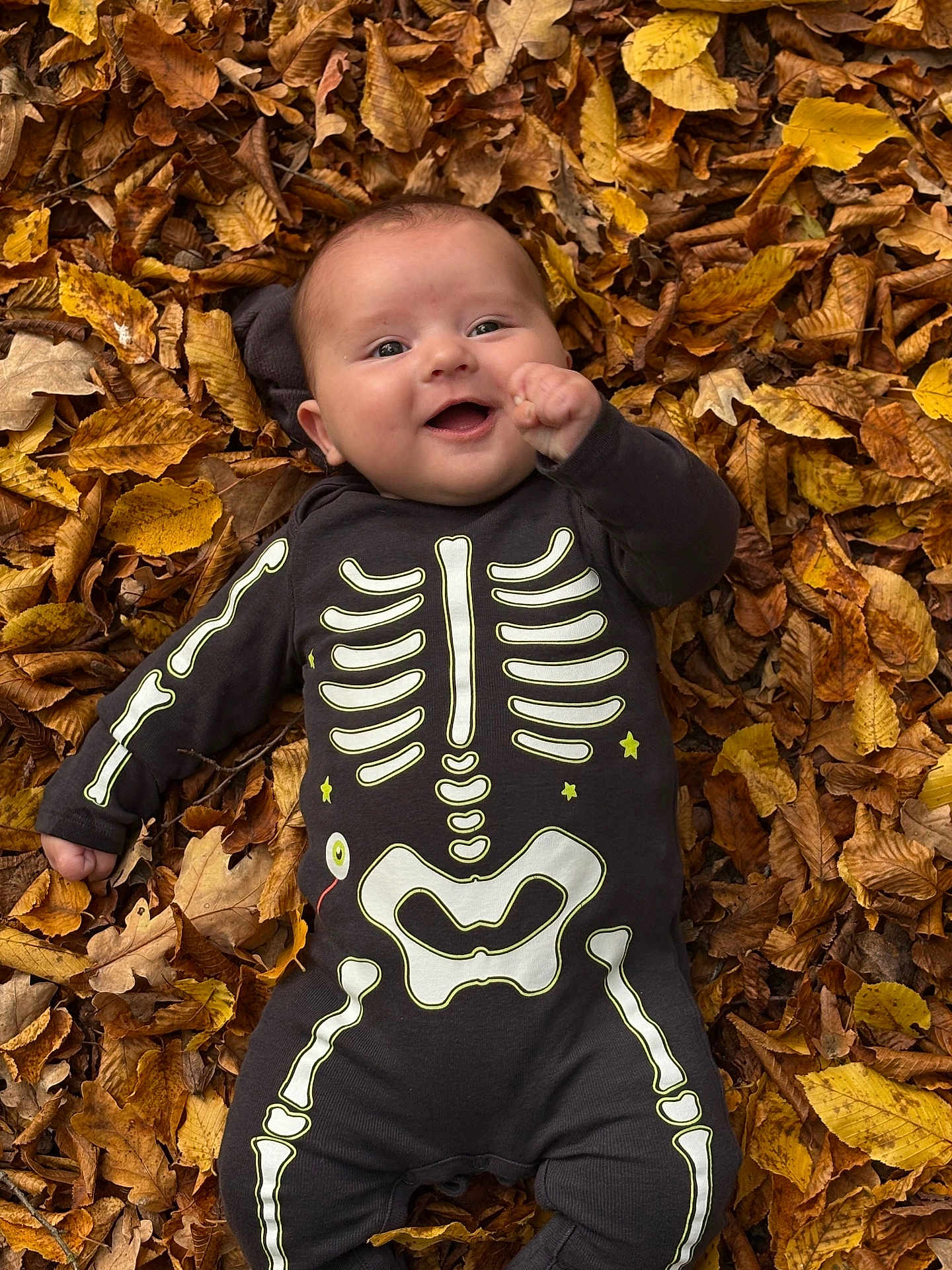 Sasha participe au concours pour gagner de l'argent avec cette photo : baby, autumn_leaves, fall, skeleton_onesie, infant, smiling, outdoor, seasonal, cute, child, leaf_litter, baby_clothing, happy, nature, portrait, laying_down, baby_face, baby_boy, baby_girl, seasonal_clothing