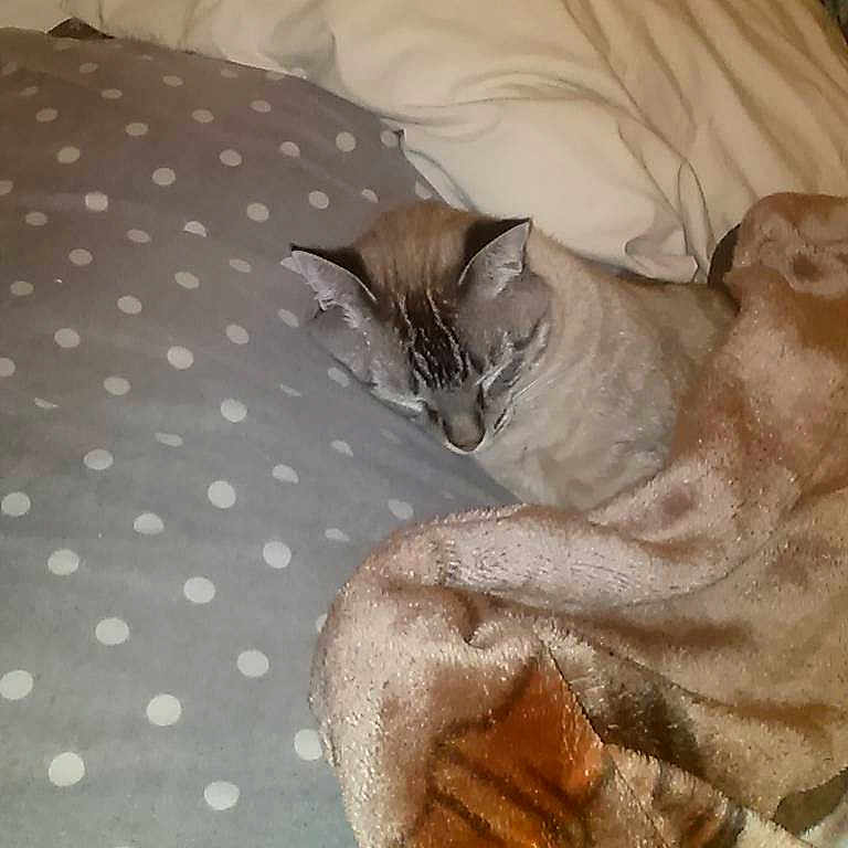 Siam joined the competition — help win amazing prizes!