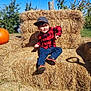 autumn, blue_sky, cap, casual_clothing, child, farm, fun, grass, hay_bale, nature, outdoor, plaid_shirt, playful, pumpkin, seasonal, sitting, smiling, sunny, toddler, young