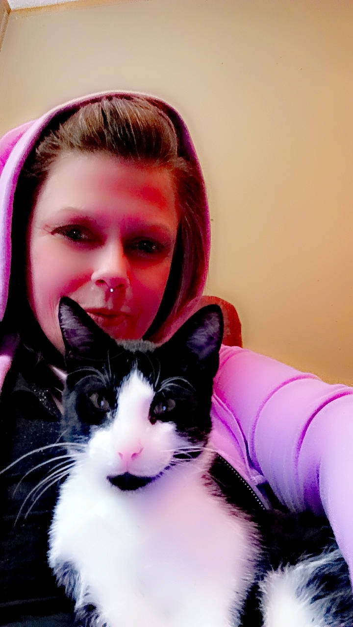 Lokijo Raven is registered to the contest to win money with this photo: bangs, black_hair, brown_hair, carnivore, cat, ear, eyelash, facial_expression, fashion_accessory, felidae, fur, happy, iris, long_hair, magenta, mammal, organ, pink, small_to_medium_sized_cats, whiskers