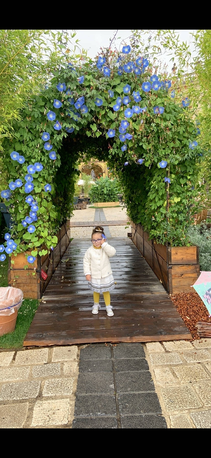 Lina a rejoint le concours — aidez-le/la à gagner de superbes lots ! annual_plant, architecture, blue, botany, electric_blue, flower, flower_arranging, flowerpot, garden, grass, leaf, leisure, nature, person, petal, plant, shrub, summer, toddler, vine