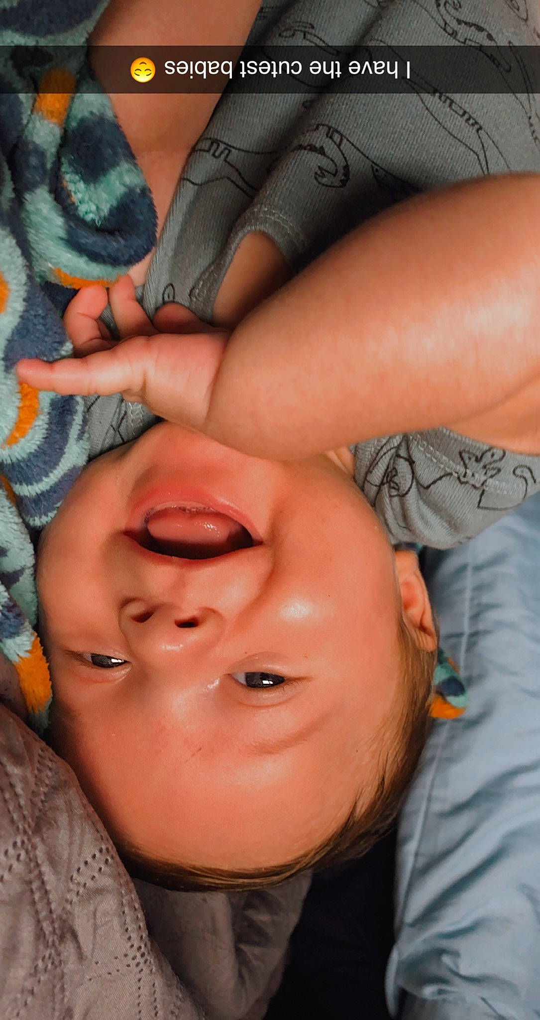 Houston joined the competition — help win amazing prizes! baby, cheek, eyelash, flesh, forehead, hearing, human, humour, lip, nail, orange, organ, person, plush, skin, stuffed_toy, throat, tongue, tooth, toy