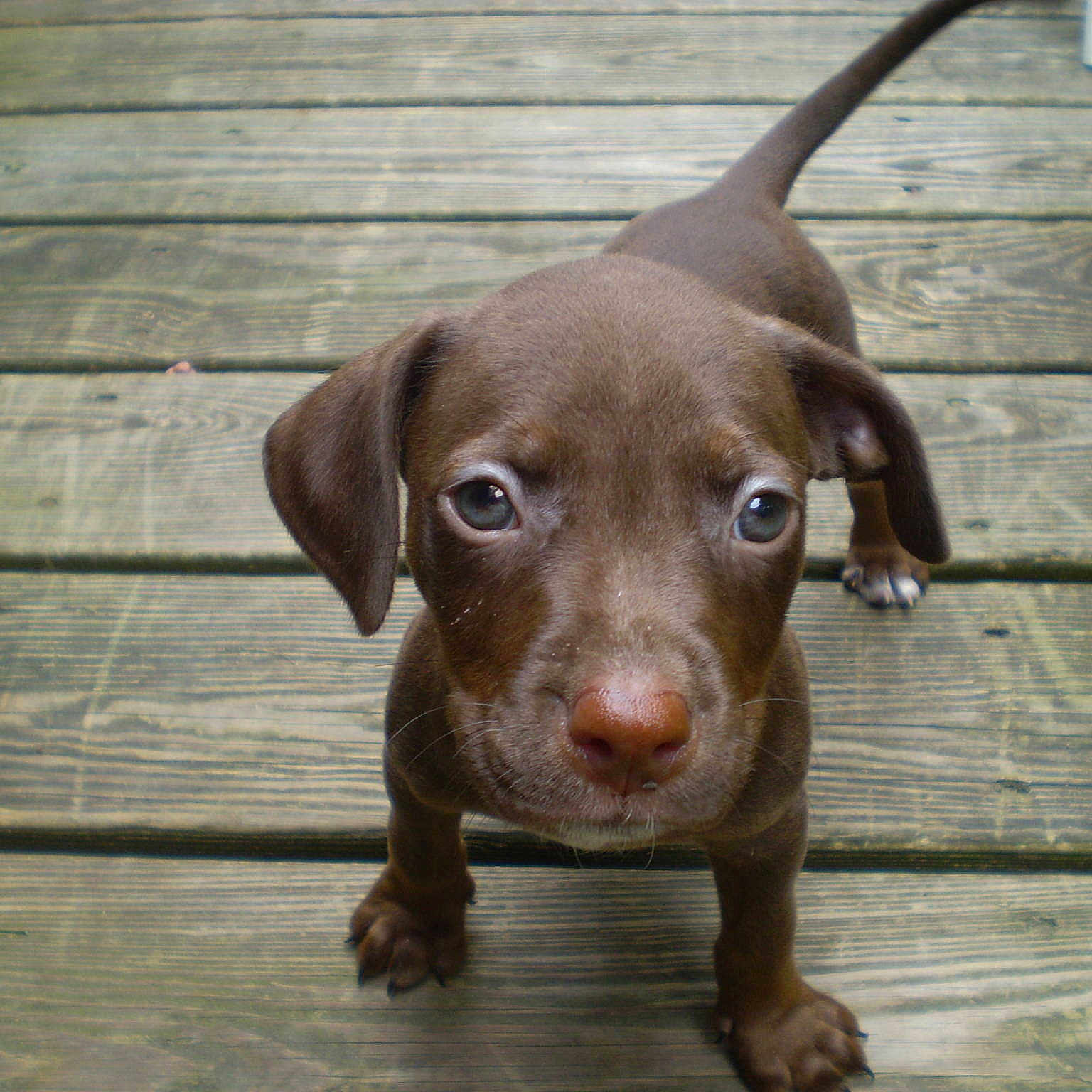 Gale is registered to the contest to win money with this photo: